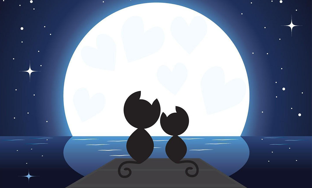 齐齐哈尔潮客汇微信活动策划案例